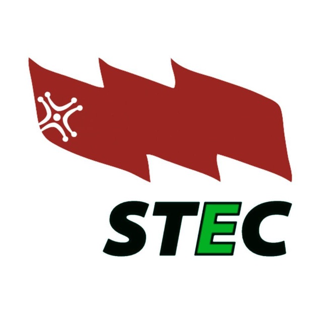 STEC: Sindicato de Trabajadores y Trabajadoras de la Enseñanza de Cantabria